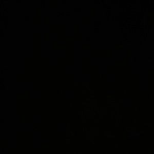 Meet your Posher, Rodrigo